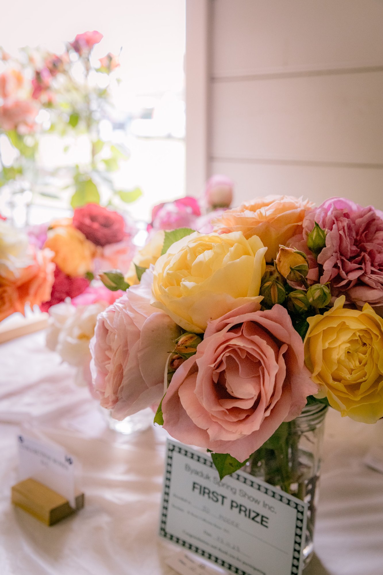 Byaduk_FlowerShow2023-094 (1)