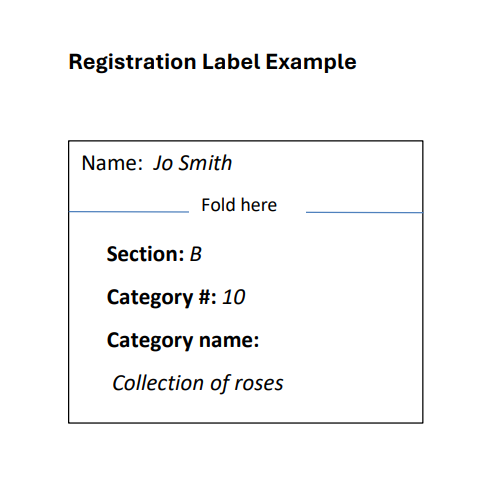 Screenshot 2024-09-12 201057